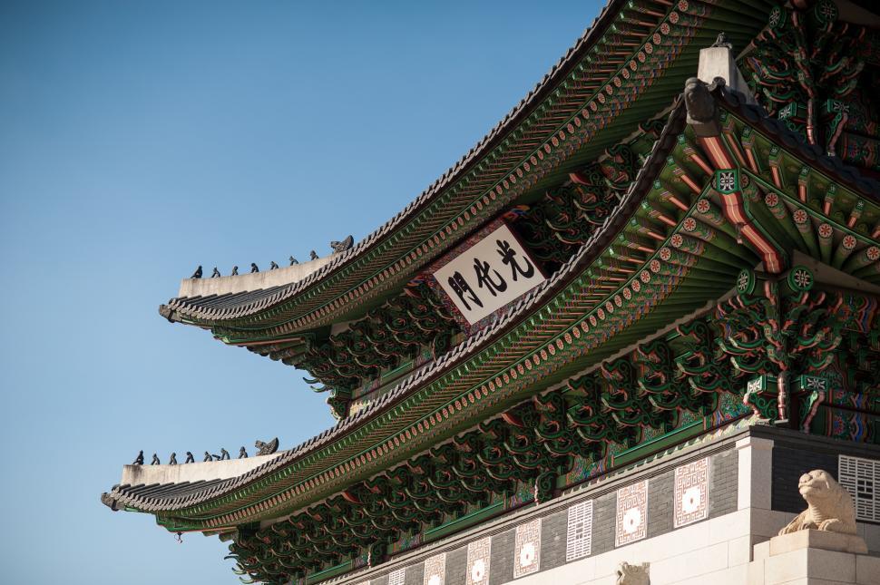 Free Image of Birds Perched on Tall Building 