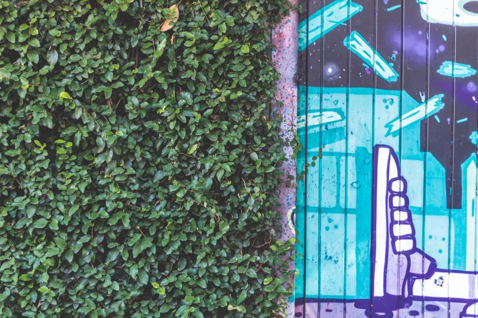 Free Image of Skateboard Resting Against Wall 