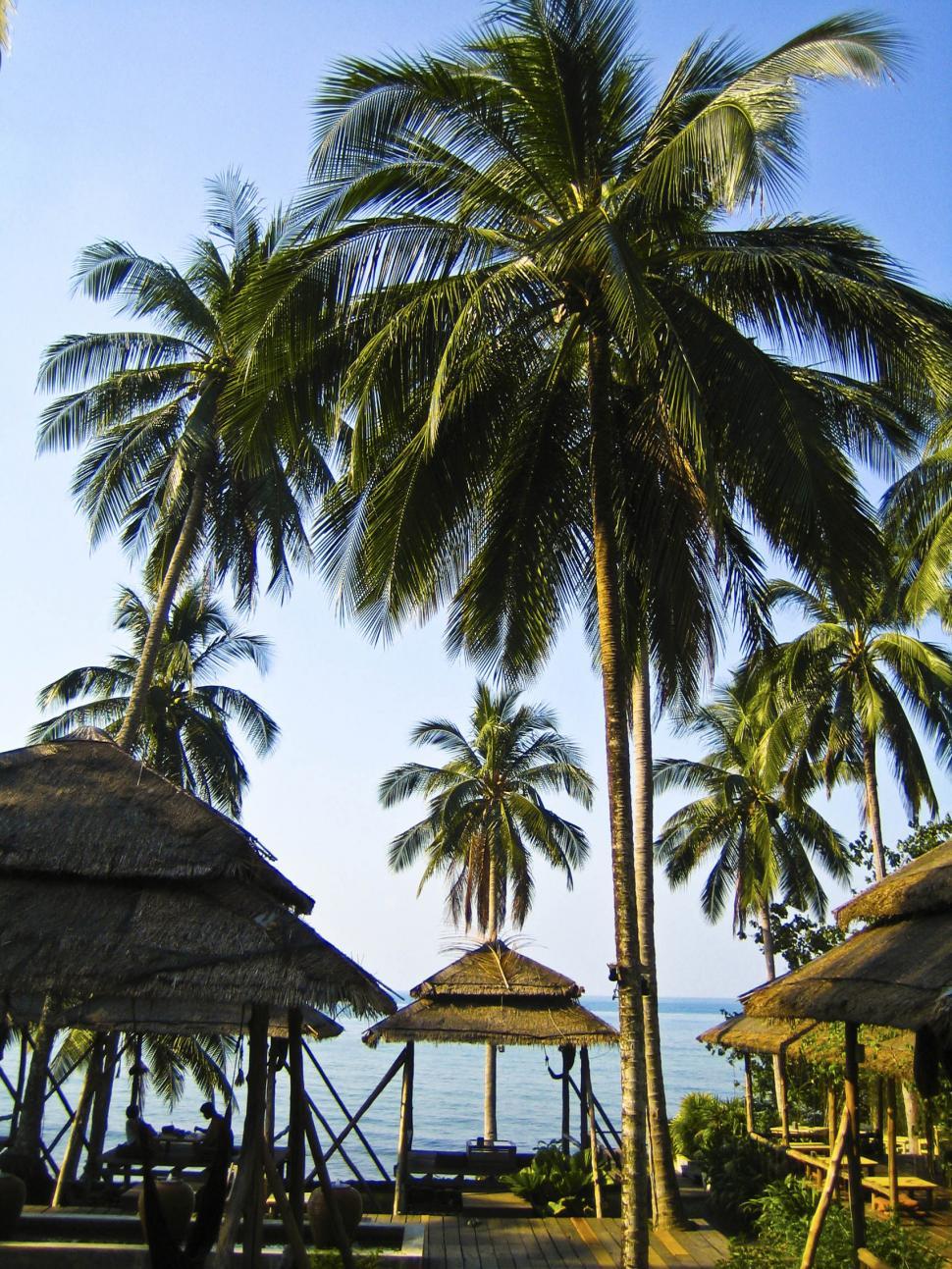 Free Image of holiday resort in thailand 