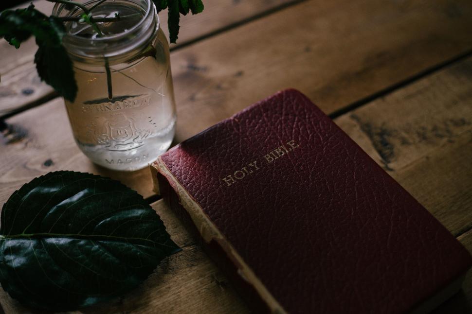 Free Image of A Book and a Vase With Flowers on a Table 