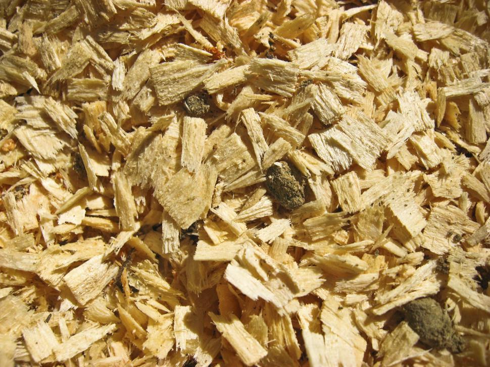 Free Image of wood chips 