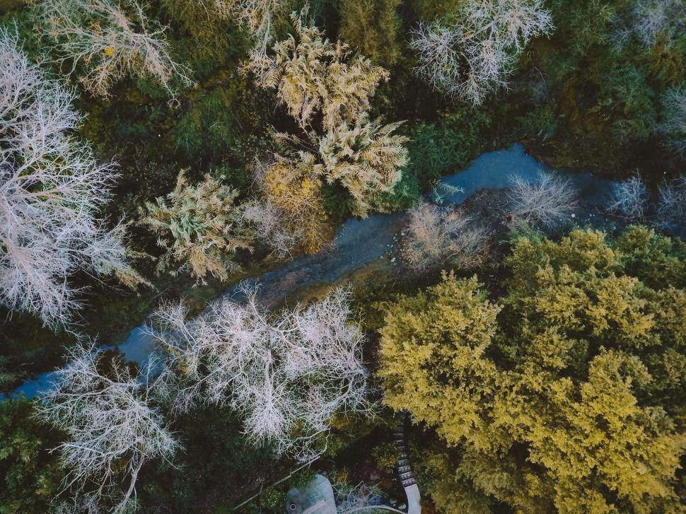 Free Image of River Surrounded by Trees 