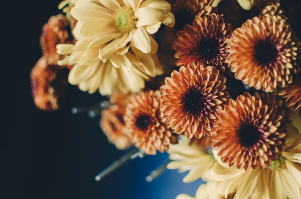 Free Image of Vase Filled With Yellow Flowers on Table. 