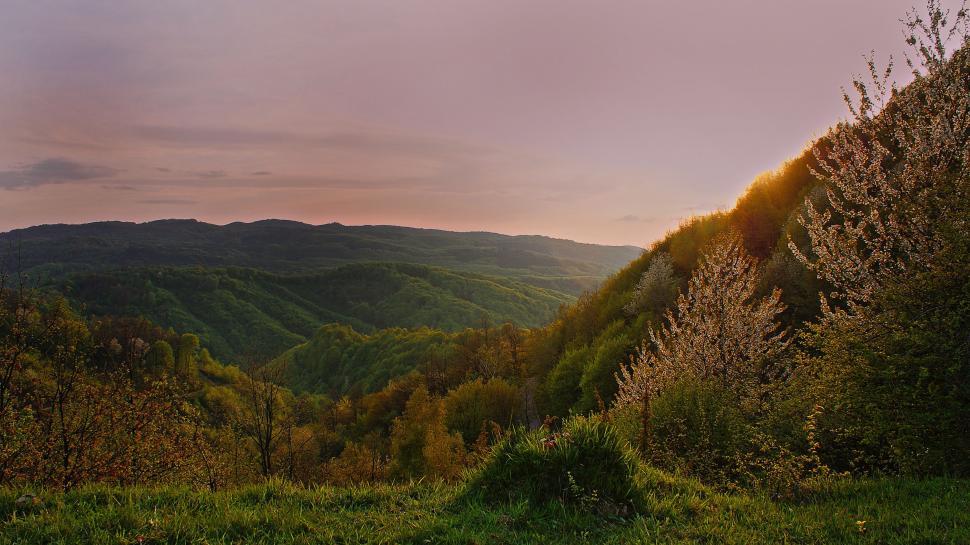 Free Image of Valley With Mountains in the Background 