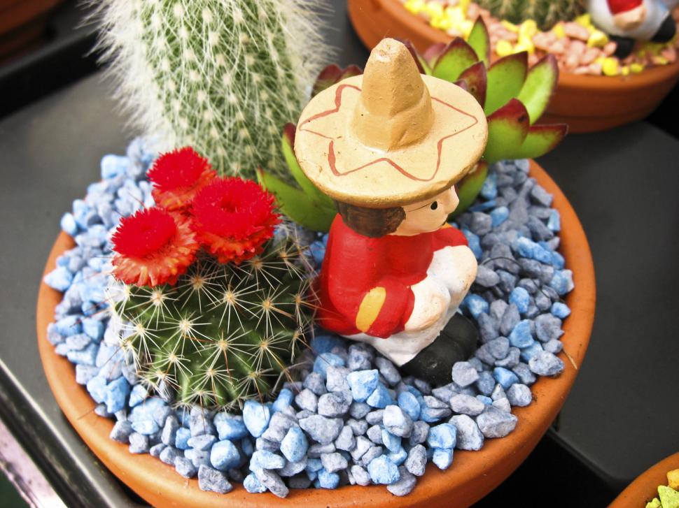 Free Image of Cactus with character 