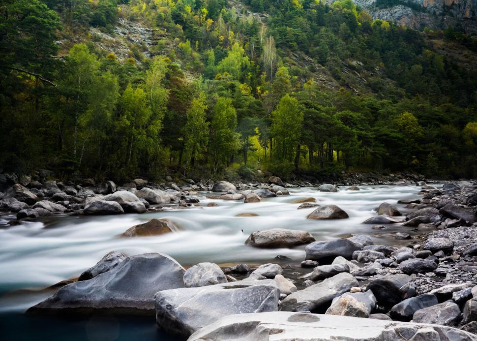 Free Image of River Flowing Through Lush Green Forest 