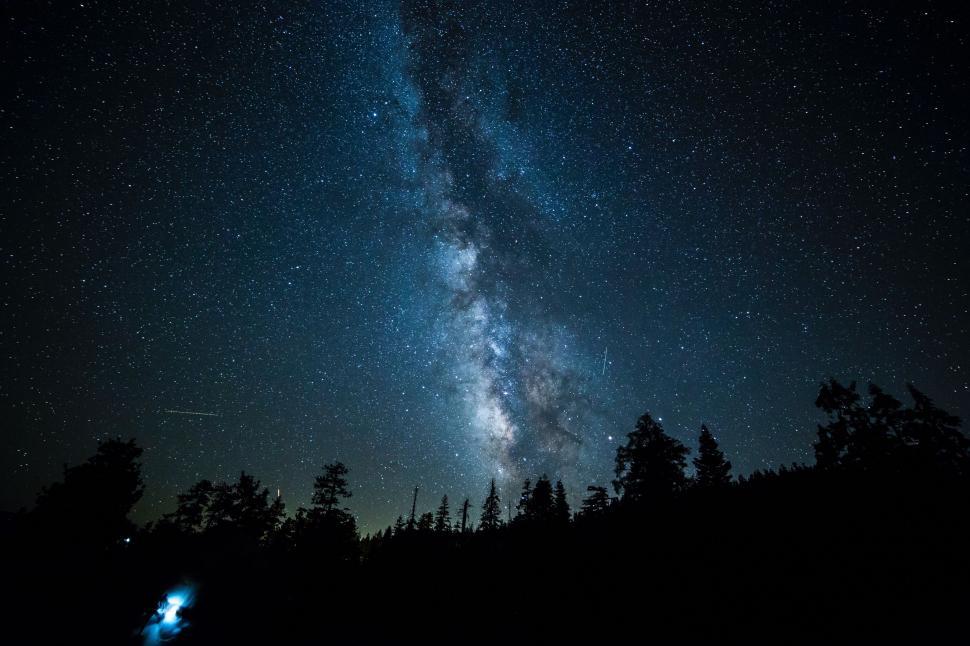 Free Image of Starry Night Sky Over Trees 
