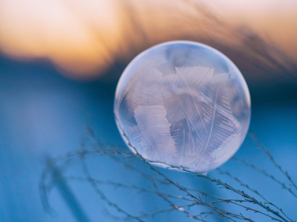 Free Image of Close Up of Jelly-Like Object With Blurry Background 
