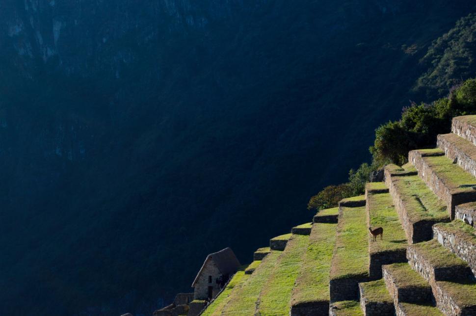 Free Image of Aerial View of Grassy Area With Stairs and Body of Water 