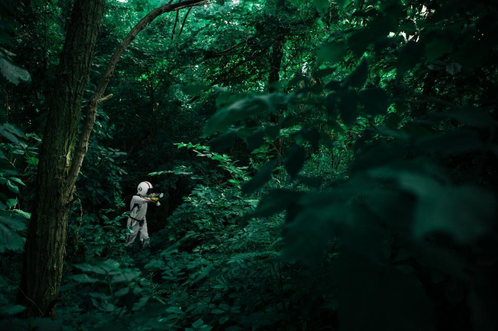 Free Image of Person Standing in the Middle of a Forest 