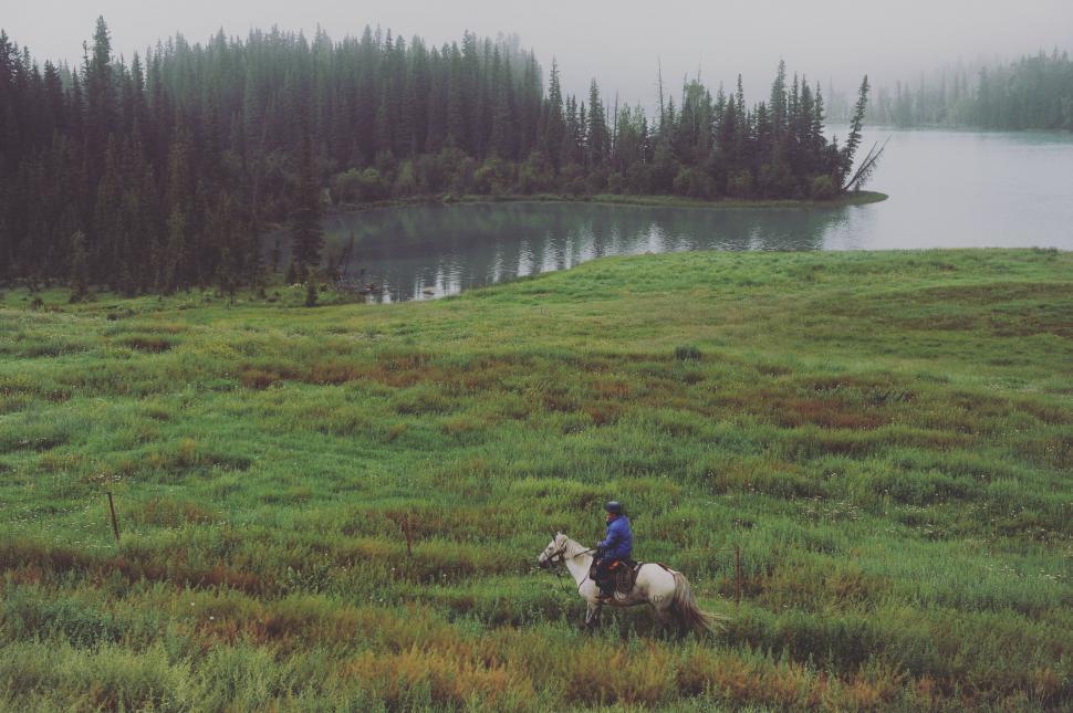 Free Image of Person Riding Horse on Lush Green Hillside 