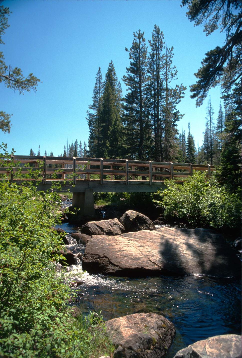 Free Image of Footbridge over creek 