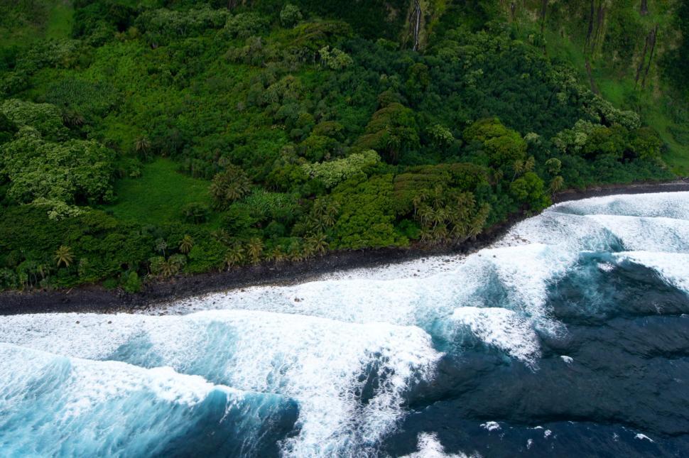 Free Image of Aerial View of the Ocean and Forested Area 