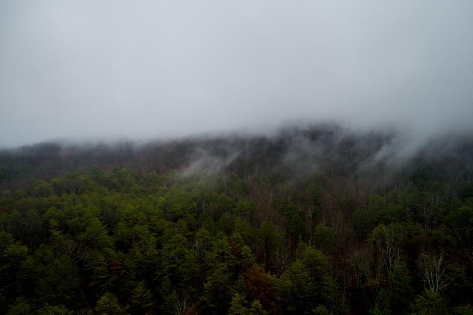 Free Image of Foggy Mountain With Cow Grazing 