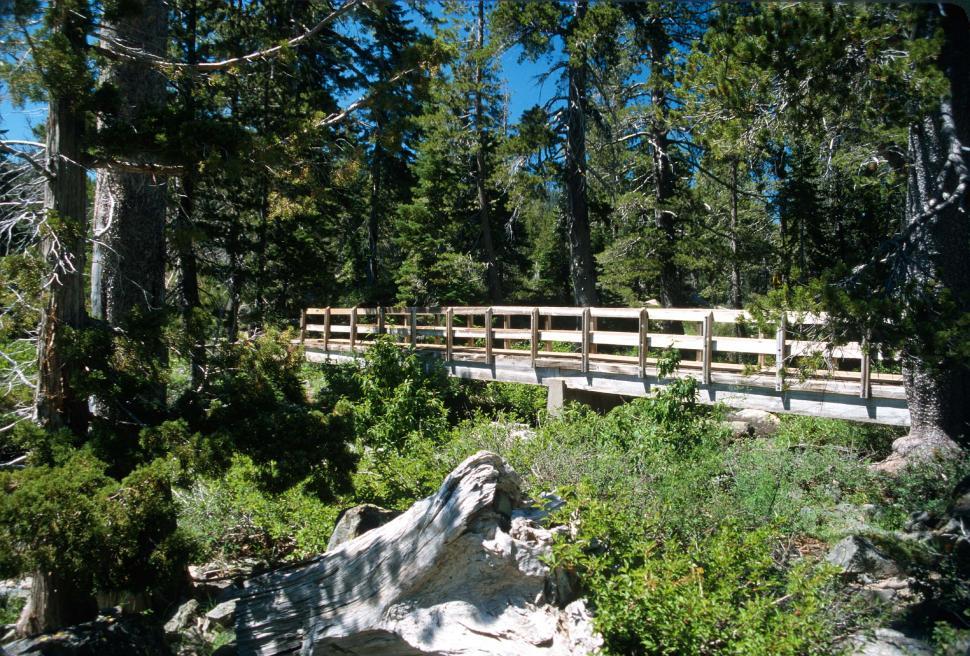 Free Image of Small footbridge over creek 
