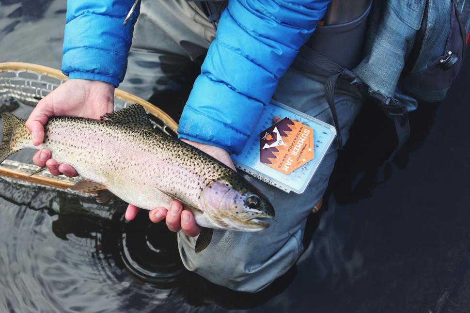 Free Image of Man in Blue Jacket Holding Fish 