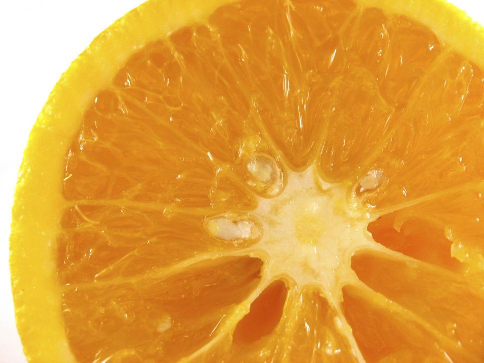 Free Image of Orange close up 