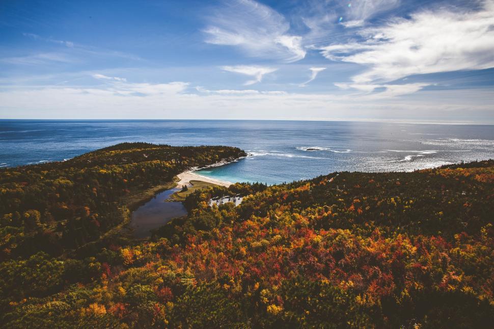 Free Image of Scenic Ocean View From Hilltop 