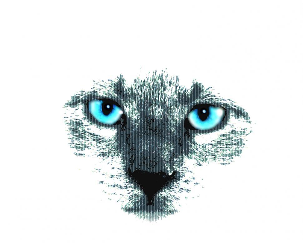 Free Image of Cat with Blue Eyes 
