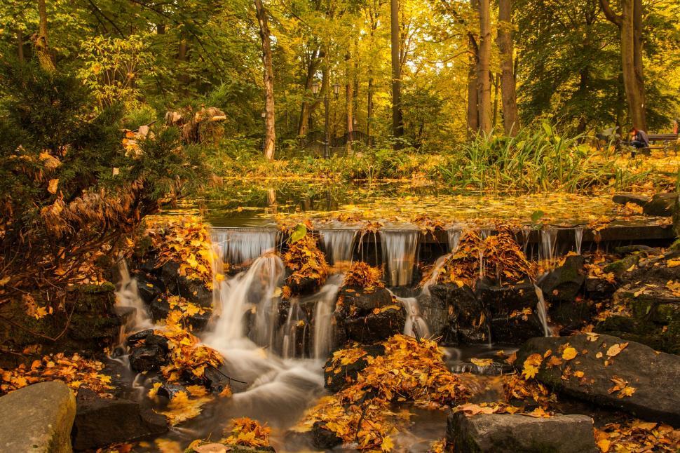 Free Image of Small Waterfall in Forest 