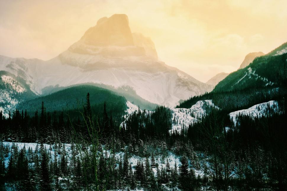 Free Image of Majestic Mountain Range With Foreground Trees 