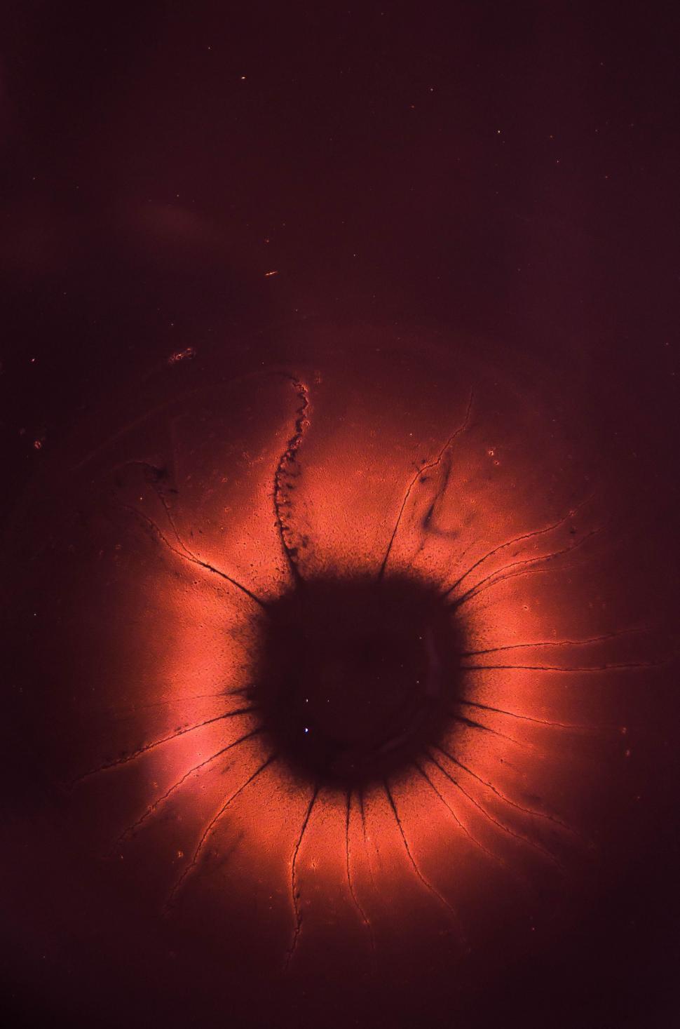 Free Image of Close-Up of Red Object in Darkness 