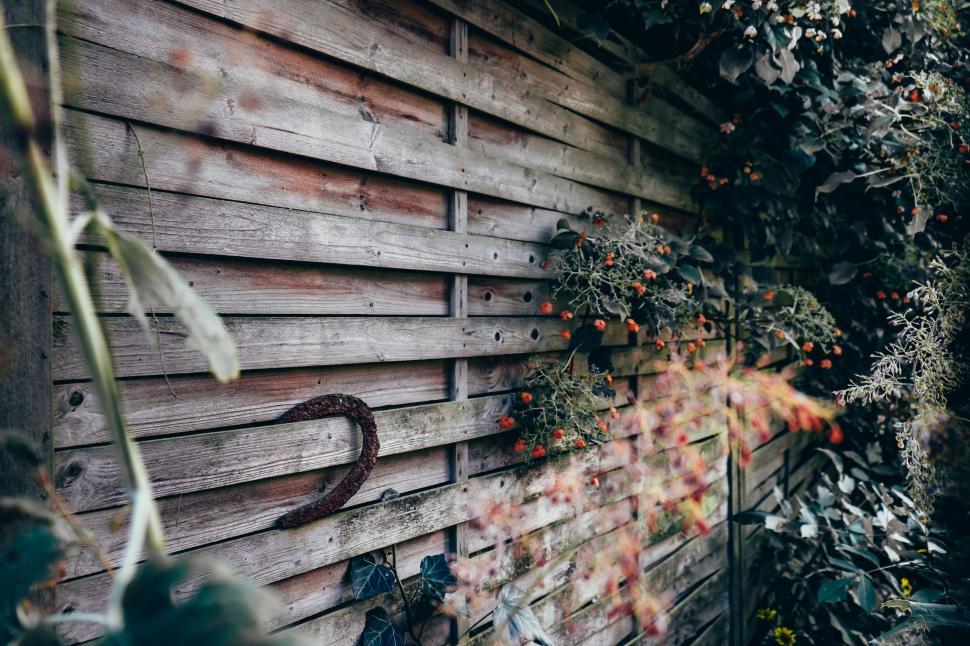 Free Image of Wooden Wall Covered With Vines 