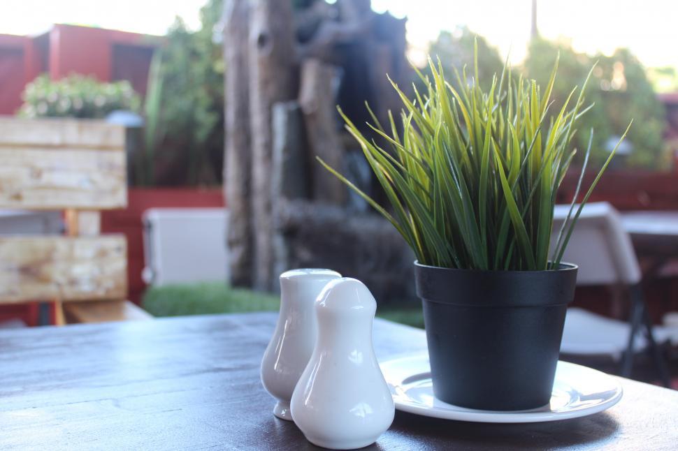 Free Image of Dining out  