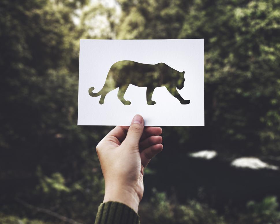 Free Image of Person Holding Up a Cut Out of a Cat 