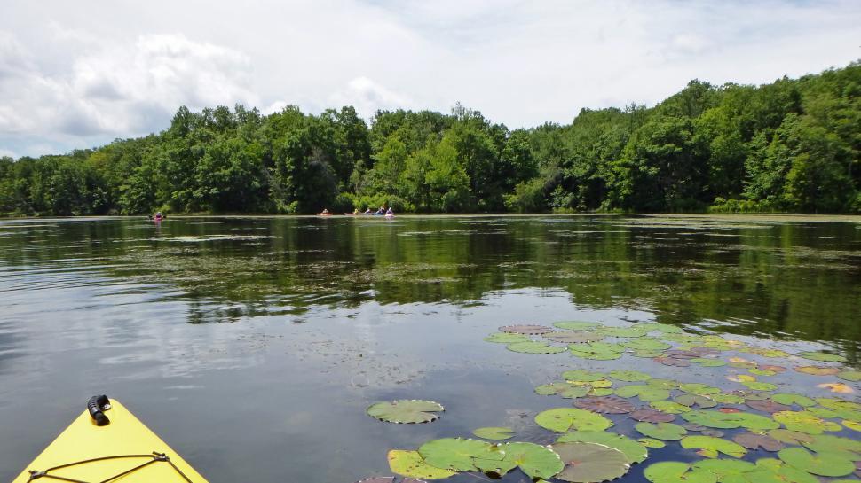 Free Image of Splitrock Reservoir Lily Pads 