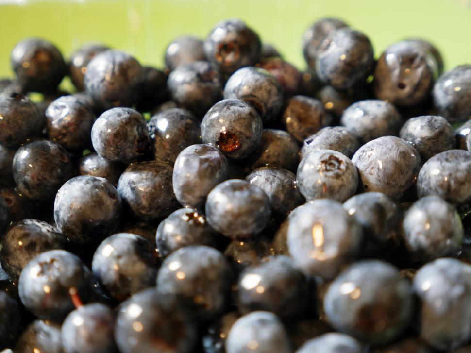 Free Image of Blueberry 
