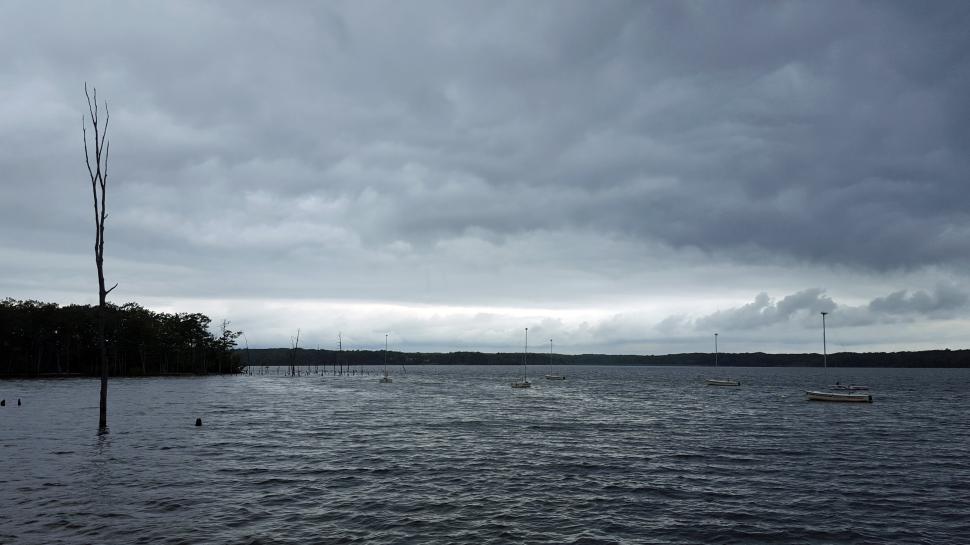 Free Image of Manasquan Reservoir 