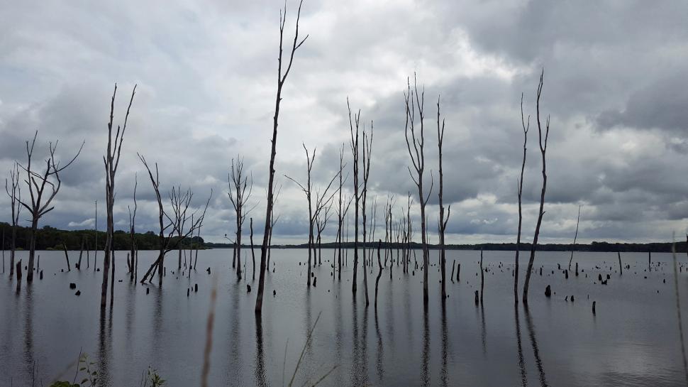 Free Image of Manasquan Reservoir 