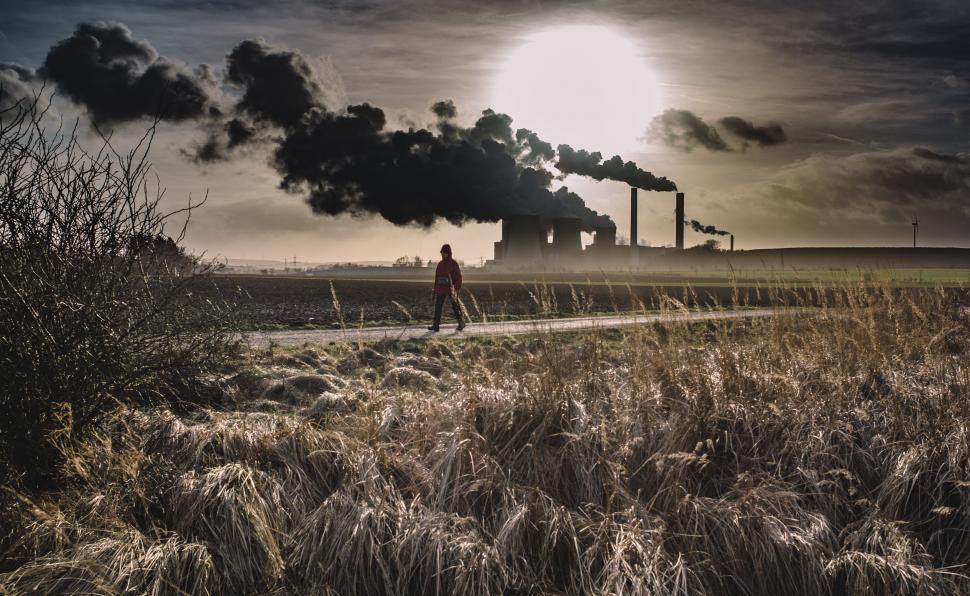 Free Image of Man Walking Down a Road 