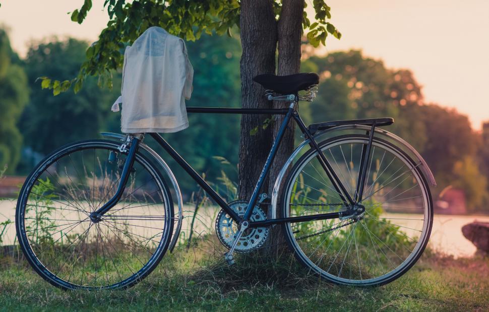 Free Image of Bicycle Parked Next to Tree in Park 