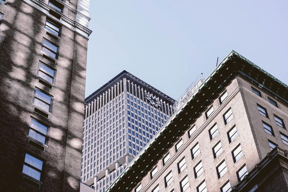 Free Image of Majestic Skyscrapers in Monochrome 