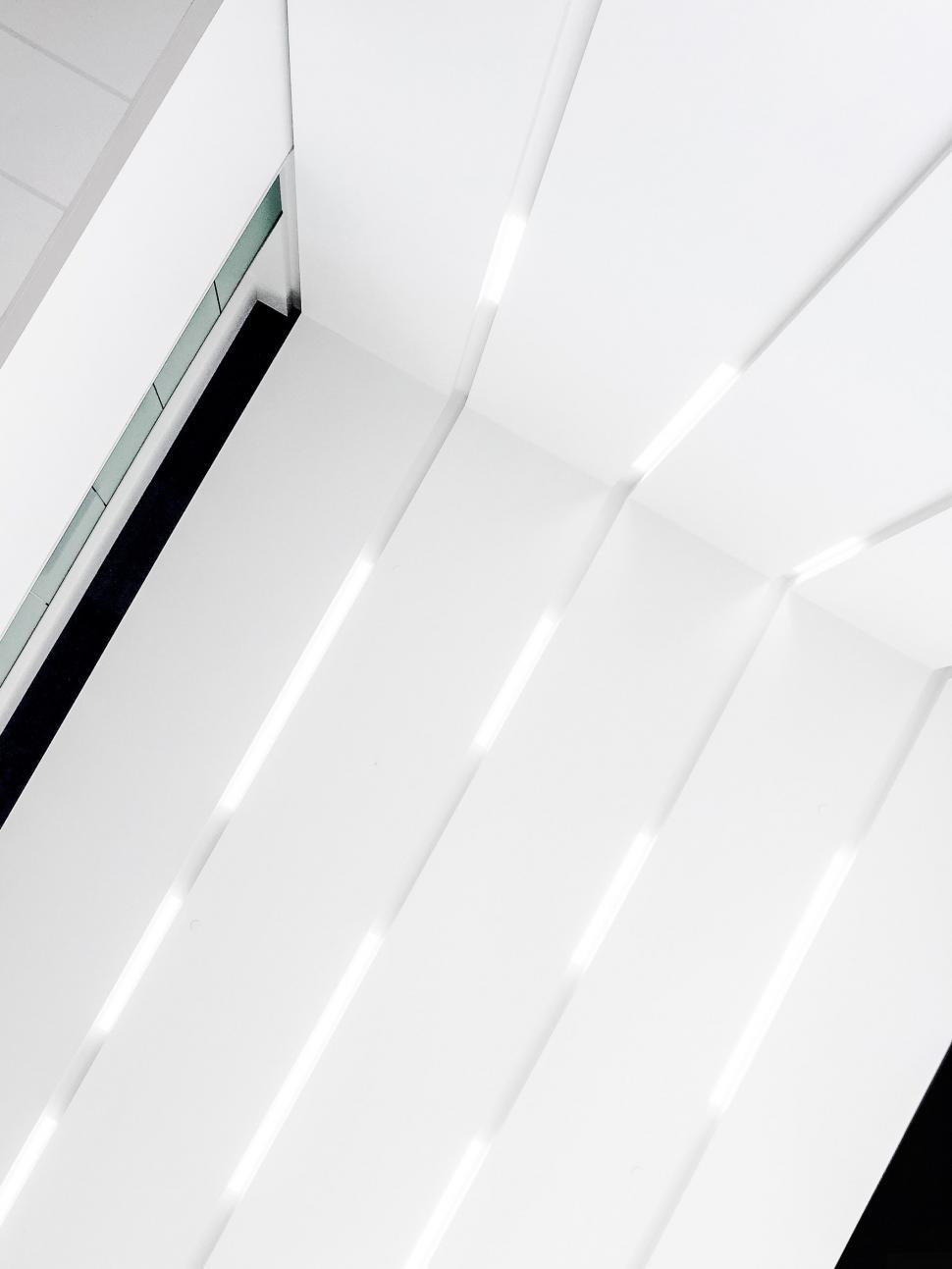 Free Image of Monochrome Bathroom Interior Design 