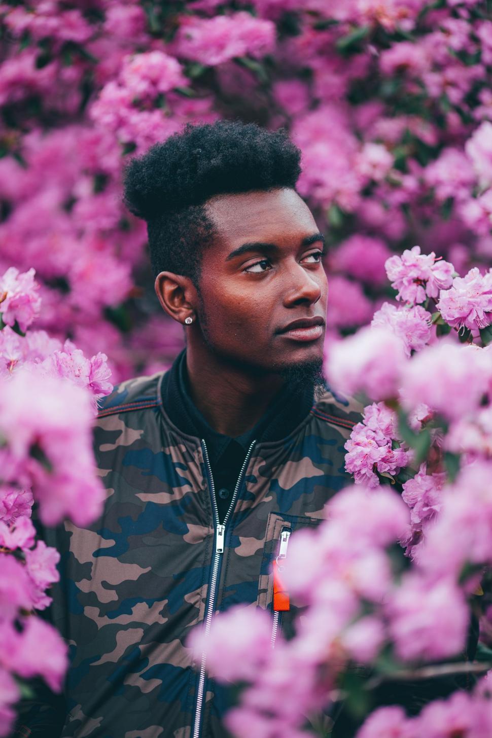 Free Image of Man Standing in Field of Pink Flowers 