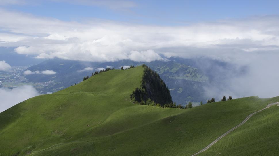 Free Image of Grassy Hill With Trees 
