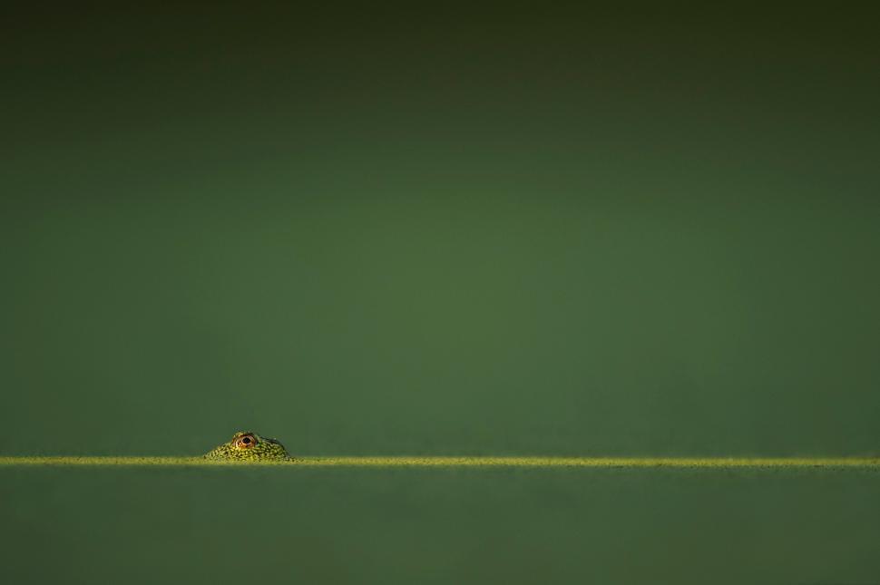 Free Image of Green Field With Small Hill in Distance 