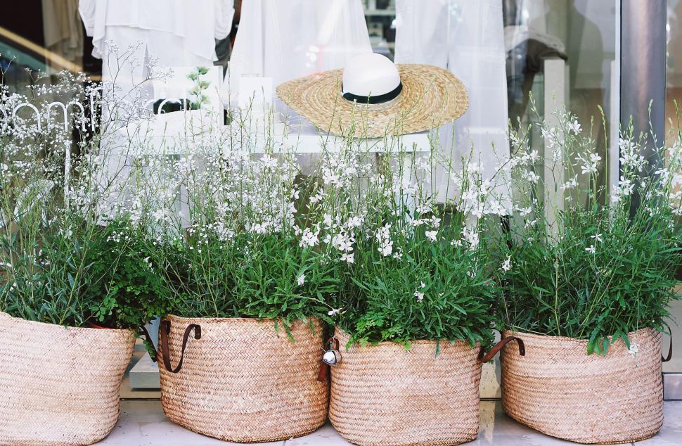 Free Image of Row of Baskets With Plants on Window Sill 