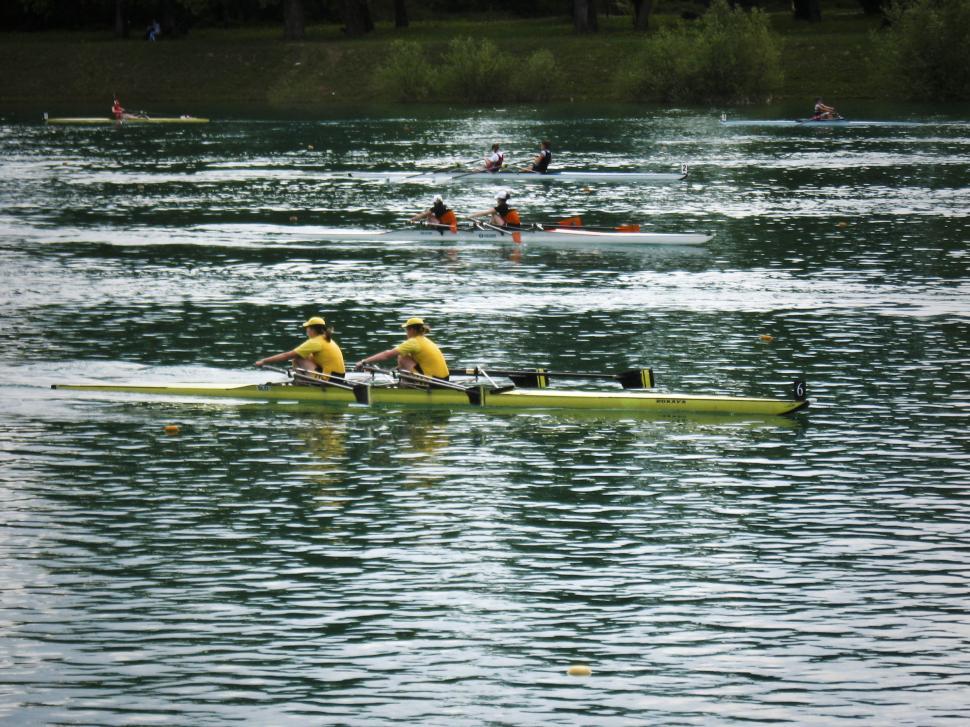 Free Image of rowing race underway 