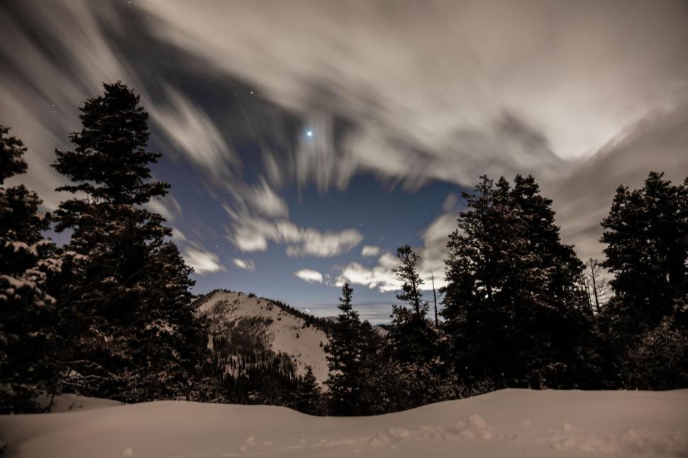Free Image of Snow Covered Field With Trees Under Cloudy Sky 