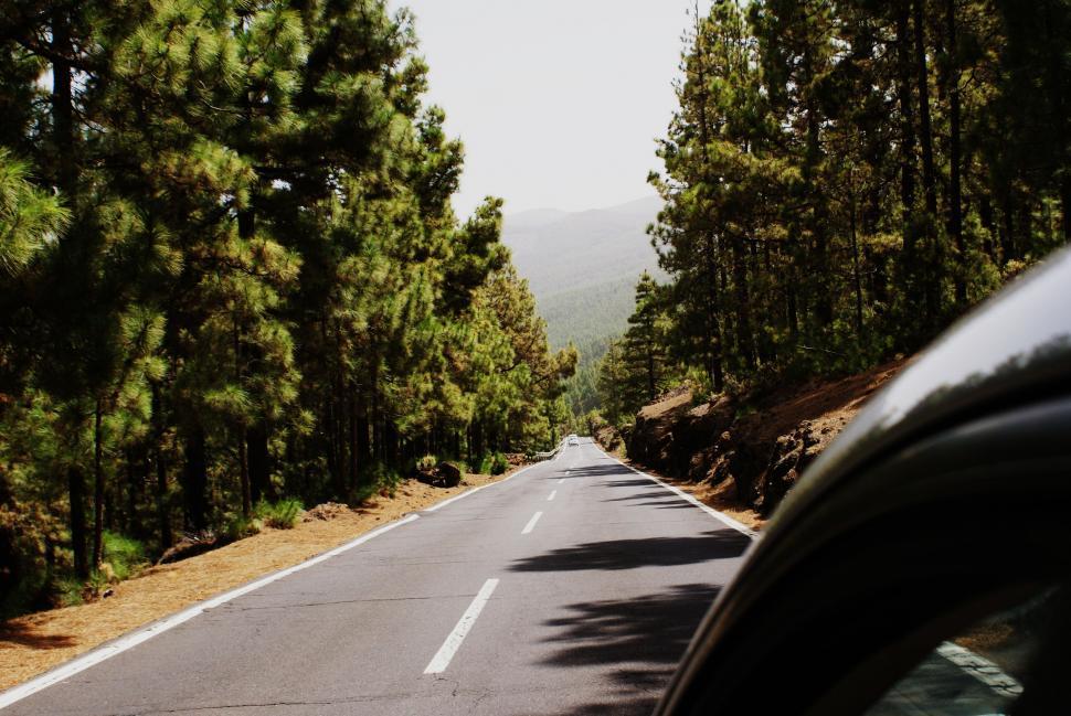 Free Image of Car Driving Down Road Next to Forest 