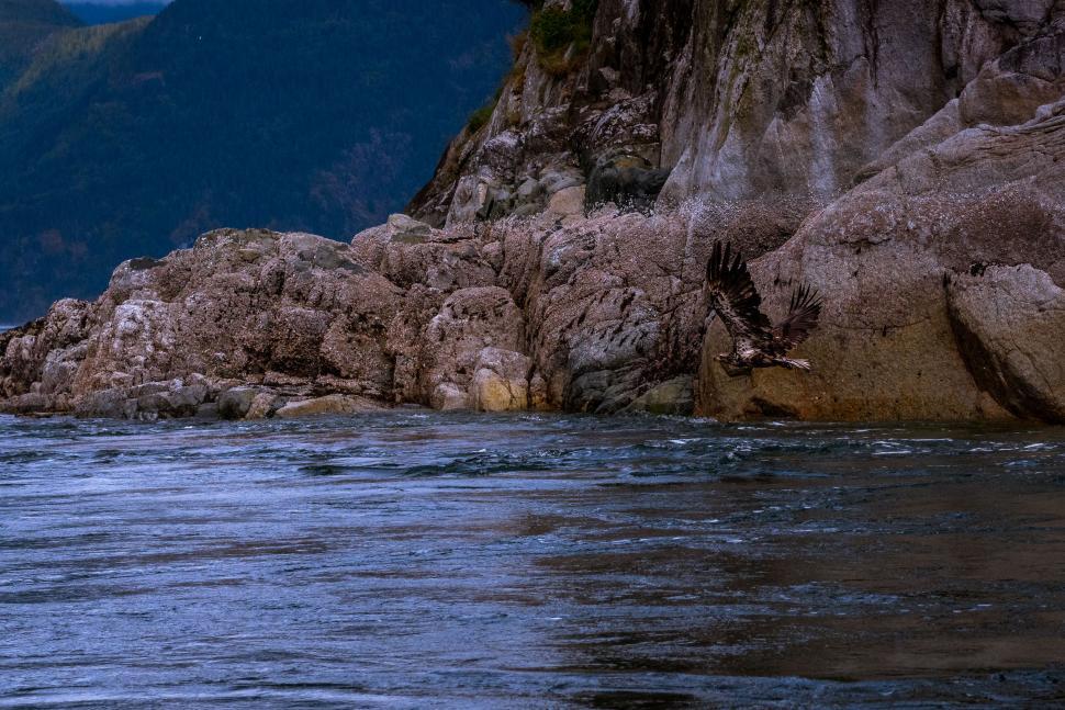 Free Image of Mountain Overlooking Body of Water 