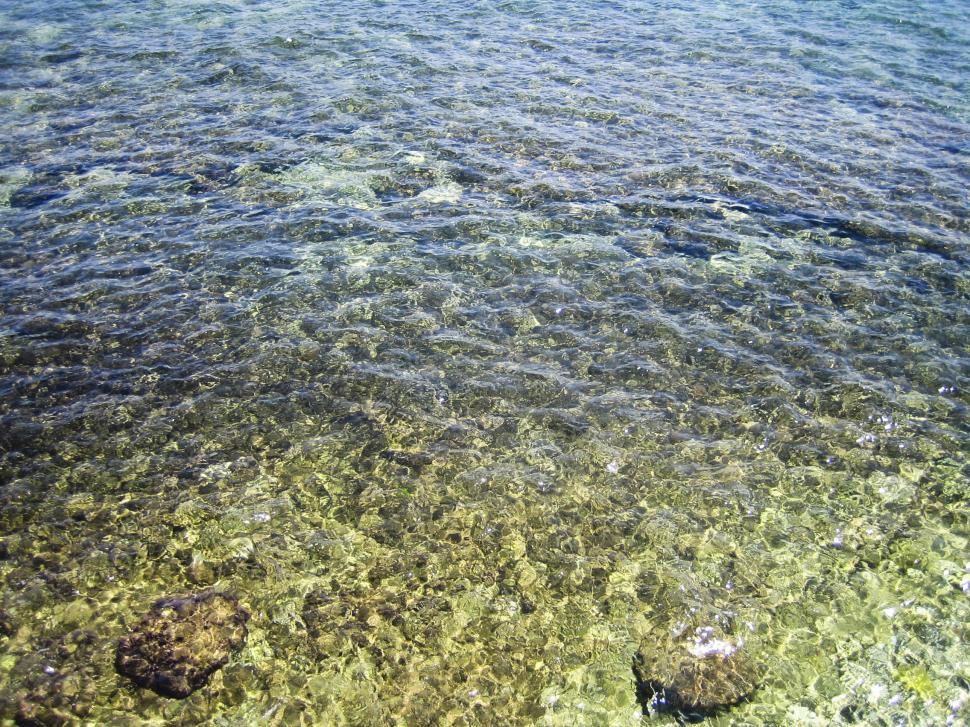 Free Image of shallow sea 