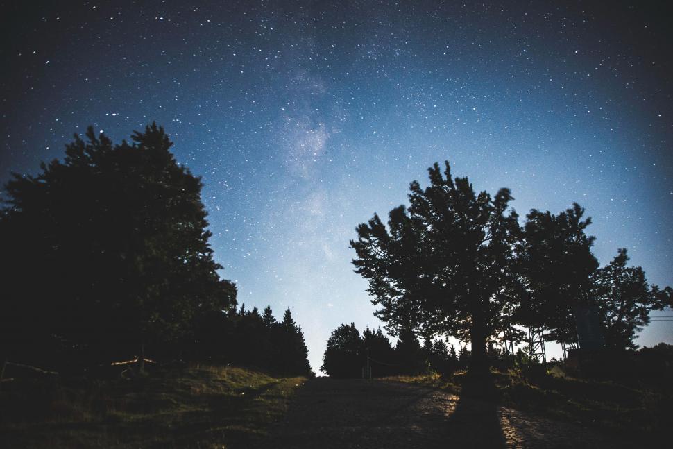 Free Image of Starry Night Sky With Trees 