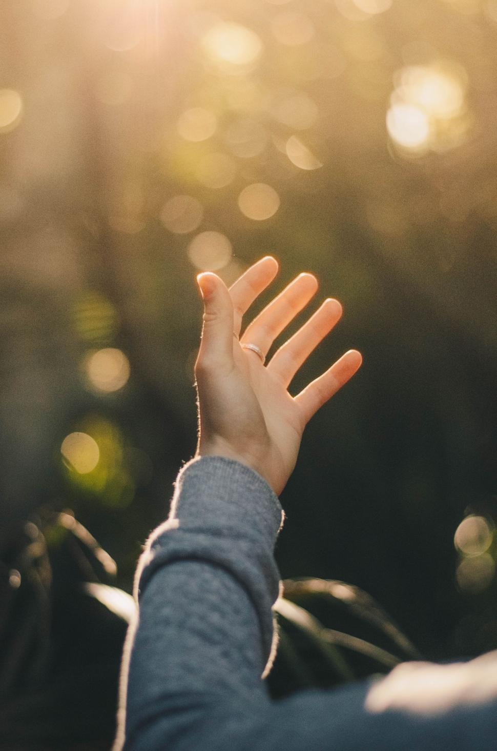 Free Image of Hand Reaching Up Into the Air 