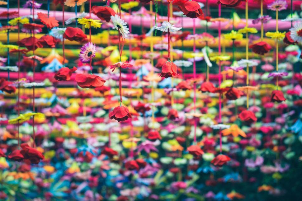 Free Image of Hanging Flowers in Full Bloom 