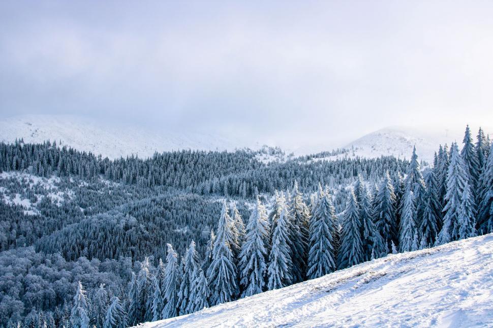 Free Image of Snowboarder Descending Snowy Hill 